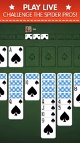 Spider Solitaire Palace Screenshot 1 - AppWisp.com Spider Solitaire Palace Screenshot 1 - AppWisp.com