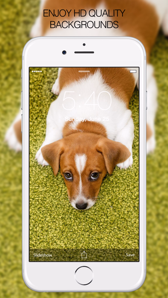 Puppy Wallpapers – Cute Puppy Pictures & Images Screenshot 2 - AppWisp.com Puppy Wallpapers – Cute Puppy Pictures & Images Screenshot 2 - AppWisp.com