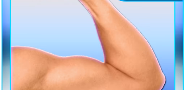 Arm Fitness: Bicep & Triceps Header - AppWisp.com Arm Fitness: Bicep & Triceps Header - AppWisp.com