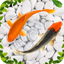 Koi Wallpapers - AppWisp.com