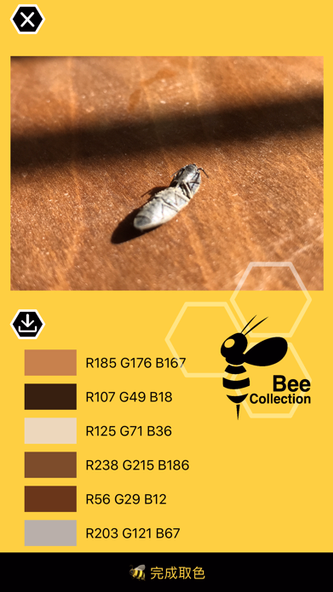 Bee - Color Pick & collection Screenshot 3 - AppWisp.com