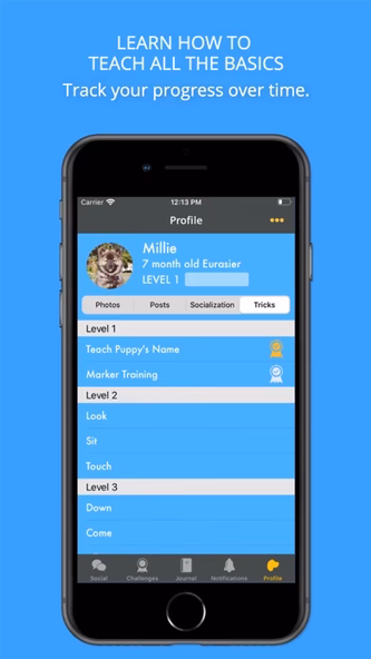 Social Puppy: Dog Training App Screenshot 3 - AppWisp.com Social Puppy: Dog Training App Screenshot 3 - AppWisp.com
