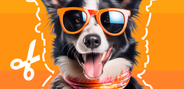 PicSticker - WA Sticker Maker Header - AppWisp.com PicSticker - WA Sticker Maker Header - AppWisp.com