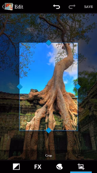 Image Gallery Screenshot 3 - AppWisp.com Image Gallery Screenshot 3 - AppWisp.com