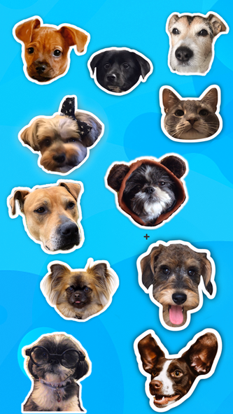 Pet Stickers & Emojis: PawMoji Screenshot 4 - AppWisp.com Pet Stickers & Emojis: PawMoji Screenshot 4 - AppWisp.com