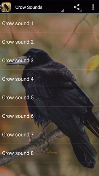 Crow Sounds Screenshot 2 - AppWisp.com Crow Sounds Screenshot 2 - AppWisp.com