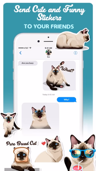 Siamese Cats Emoji Sticker Screenshot 4 - AppWisp.com Siamese Cats Emoji Sticker Screenshot 4 - AppWisp.com