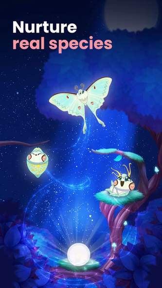 Flutter Starlight — Cozy Game Screenshot 3 - AppWisp.com Flutter Starlight — Cozy Game Screenshot 3 - AppWisp.com