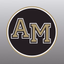 AMHS Athletics - AppWisp.com
