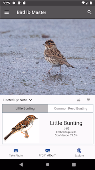 Bird ID Master Screenshot 2 - AppWisp.com Bird ID Master Screenshot 2 - AppWisp.com