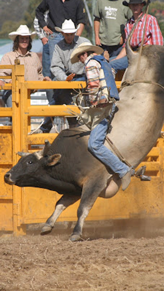 Rodeo Wallpapers 2023 HD 4K Screenshot 1 - AppWisp.com Rodeo Wallpapers 2023 HD 4K Screenshot 1 - AppWisp.com