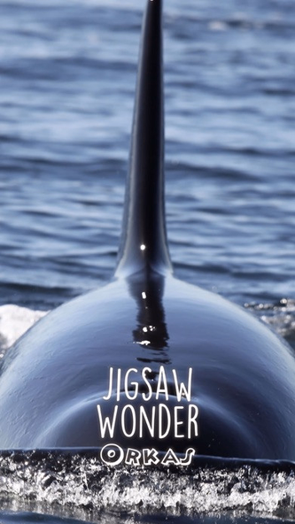 Orca Puzzles for Kids Free Jigsaw Wonder Edition Screenshot 1 - AppWisp.com Orca Puzzles for Kids Free Jigsaw Wonder Edition Screenshot 1 - AppWisp.com