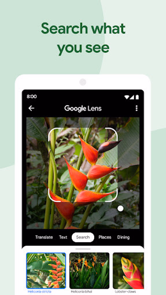 Google Photos Screenshot 3 - AppWisp.com