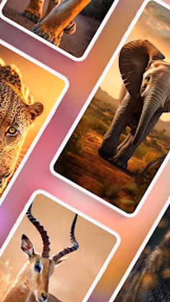 Animal Wallpapers 4K Screenshot 1 - AppWisp.com Animal Wallpapers 4K Screenshot 1 - AppWisp.com