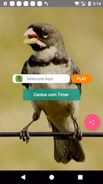 Coleiro Fibra Campeão Screenshot 1 - AppWisp.com Coleiro Fibra Campeão Screenshot 1 - AppWisp.com
