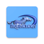 Equine Anatomy Learning Aid - AppWisp.com
