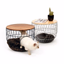 Cat House - AppWisp.com