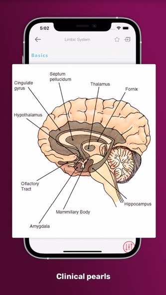 PsychNotes: Clinical Pkt Guide Screenshot 4 - AppWisp.com PsychNotes: Clinical Pkt Guide Screenshot 4 - AppWisp.com