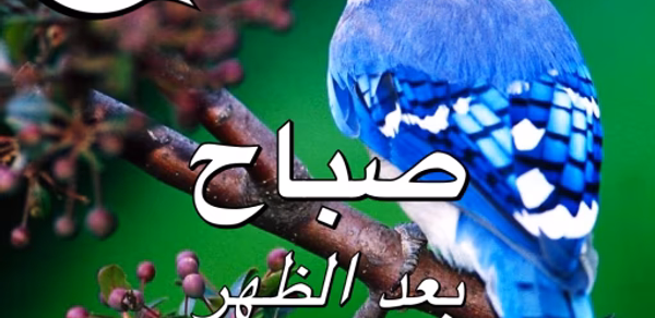 Arabic Good Morning to Night Header - AppWisp.com Arabic Good Morning to Night Header - AppWisp.com
