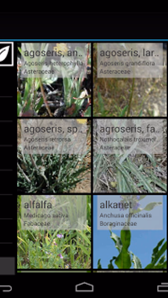 Kansas Plants Screenshot 4 - AppWisp.com Kansas Plants Screenshot 4 - AppWisp.com