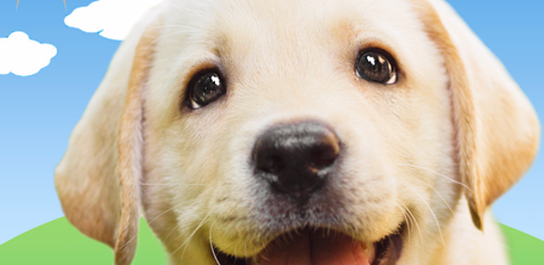 Weather Puppy - App & Widget Header - AppWisp.com Weather Puppy - App & Widget Header - AppWisp.com