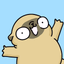 Mochi the pug - AppWisp.com