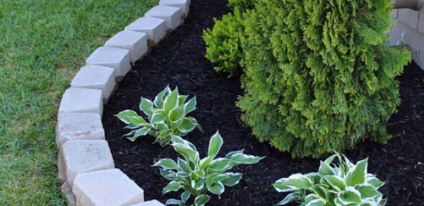 Garden Landscape Header - AppWisp.com Garden Landscape Header - AppWisp.com