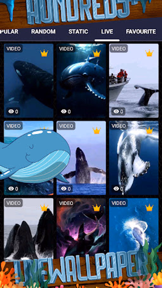 whale wallpaper Screenshot 3 - AppWisp.com whale wallpaper Screenshot 3 - AppWisp.com