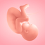 Pregnancy Tracker by Women - AppWisp.com