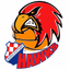 Croatia Hawks - AppWisp.com