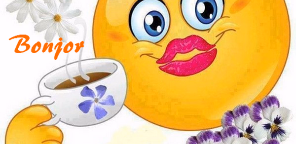 Bonjour Bonsoir Bonne Nuit Header - AppWisp.com Bonjour Bonsoir Bonne Nuit Header - AppWisp.com