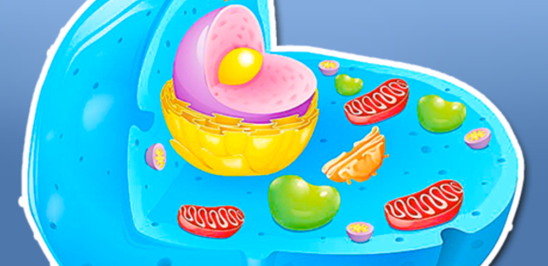 Cell biology Header - AppWisp.com Cell biology Header - AppWisp.com