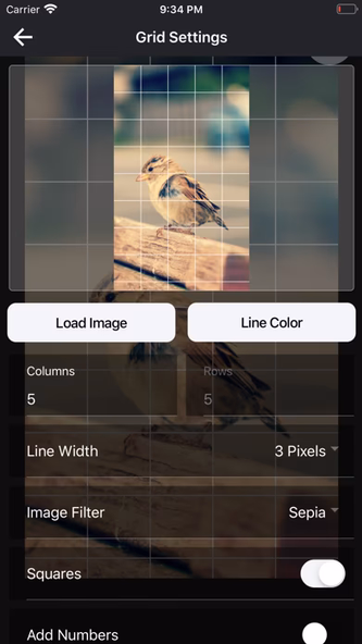 DrawinGrid Screenshot 2 - AppWisp.com DrawinGrid Screenshot 2 - AppWisp.com