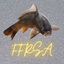 FFRSA Pro Angling - AppWisp.com
