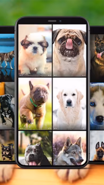 Dog Wallpapers Screenshot 1 - AppWisp.com Dog Wallpapers Screenshot 1 - AppWisp.com