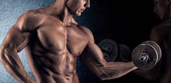 Full Body Workout - Home Worko Header - AppWisp.com Full Body Workout - Home Worko Header - AppWisp.com