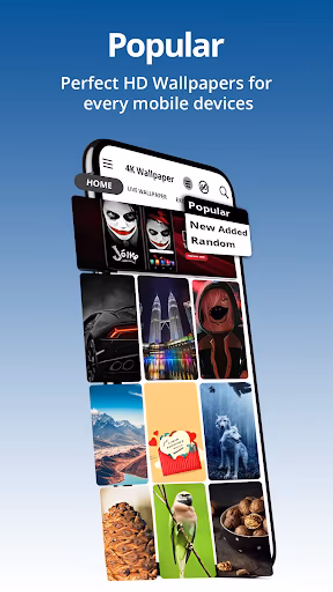 4K Wallpaper Live Wallpapers Screenshot 1 - AppWisp.com 4K Wallpaper Live Wallpapers Screenshot 1 - AppWisp.com