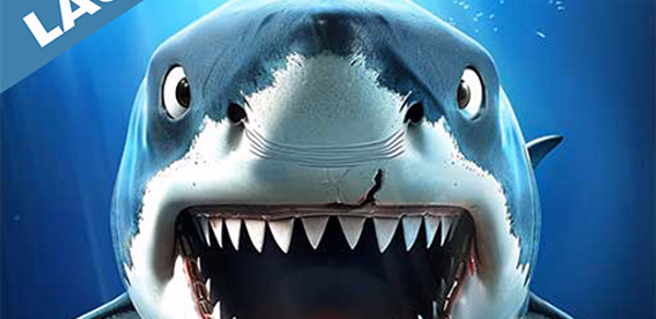 Shark Evolve Launcher Header - AppWisp.com Shark Evolve Launcher Header - AppWisp.com