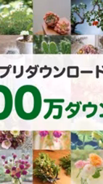 GreenSnap - 植物・花の名前が判る写真共有アプリ Screenshot 2 - AppWisp.com GreenSnap - 植物・花の名前が判る写真共有アプリ Screenshot 2 - AppWisp.com