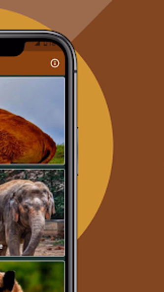 Cow Sounds Screenshot 2 - AppWisp.com Cow Sounds Screenshot 2 - AppWisp.com