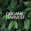 Organic Harvest- Beauty Shop - AppWisp.com