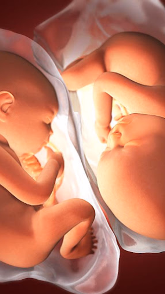 Pregnancy Week by week Screenshot 2 - AppWisp.com Pregnancy Week by week Screenshot 2 - AppWisp.com