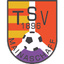 TSV Mainaschaff - AppWisp.com