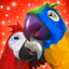 Talking Parrot Couple - AppWisp.com
