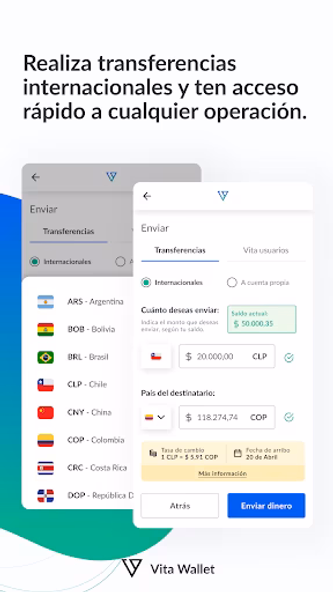 Vita Wallet Screenshot 2 - AppWisp.com