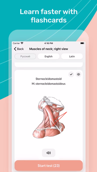Easy Anatomy 3D Screenshot 3 - AppWisp.com Easy Anatomy 3D Screenshot 3 - AppWisp.com