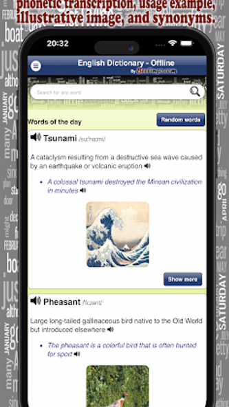 English Dictionary - Offline Screenshot 2 - AppWisp.com English Dictionary - Offline Screenshot 2 - AppWisp.com
