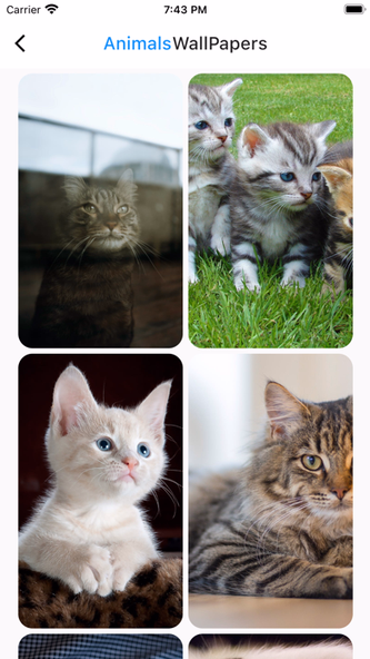 Animals UHD Wallpapers 4k 2024 Screenshot 3 - AppWisp.com Animals UHD Wallpapers 4k 2024 Screenshot 3 - AppWisp.com