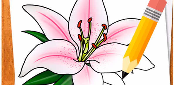 How to Draw Flowers Header - AppWisp.com How to Draw Flowers Header - AppWisp.com
