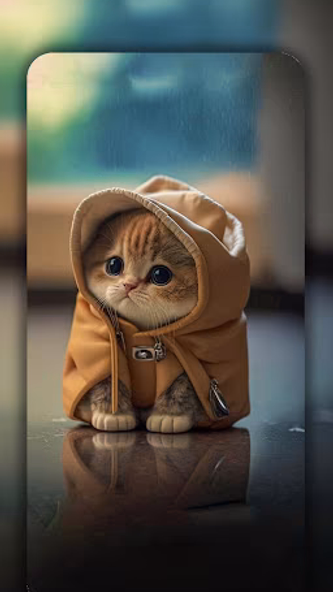 Cute Cat Wallpaper Live HD 4K Screenshot 2 - AppWisp.com Cute Cat Wallpaper Live HD 4K Screenshot 2 - AppWisp.com